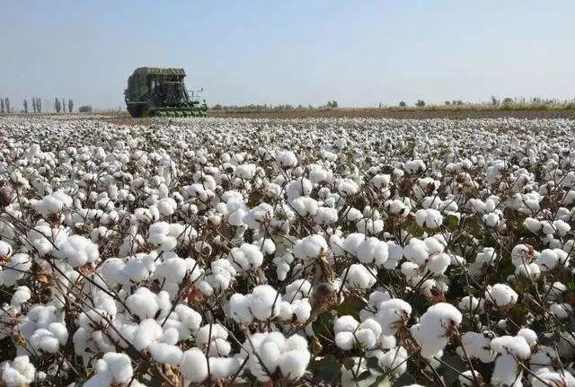 重磅！美方再度